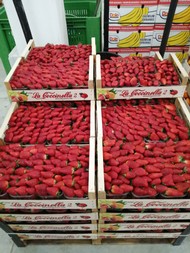 IMG_20200227_182131.jpg