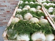 IMG_20200228_074354.jpg