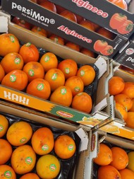 ipofrutta (1).jpeg