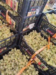 ipofrutta (10).jpeg