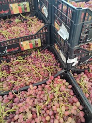 ipofrutta (2).jpeg
