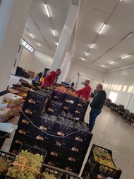ipofrutta (5).jpeg