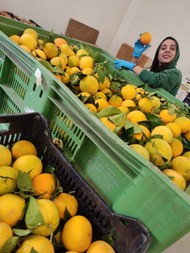 ipofrutta (8).jpeg